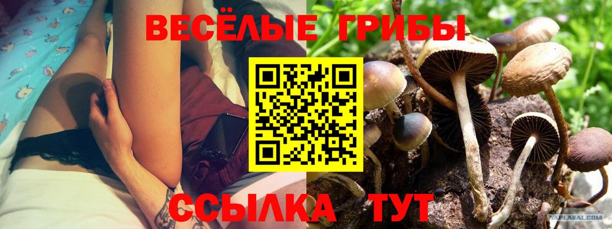 Галлюциногенные грибы мицелий  Ногинск 