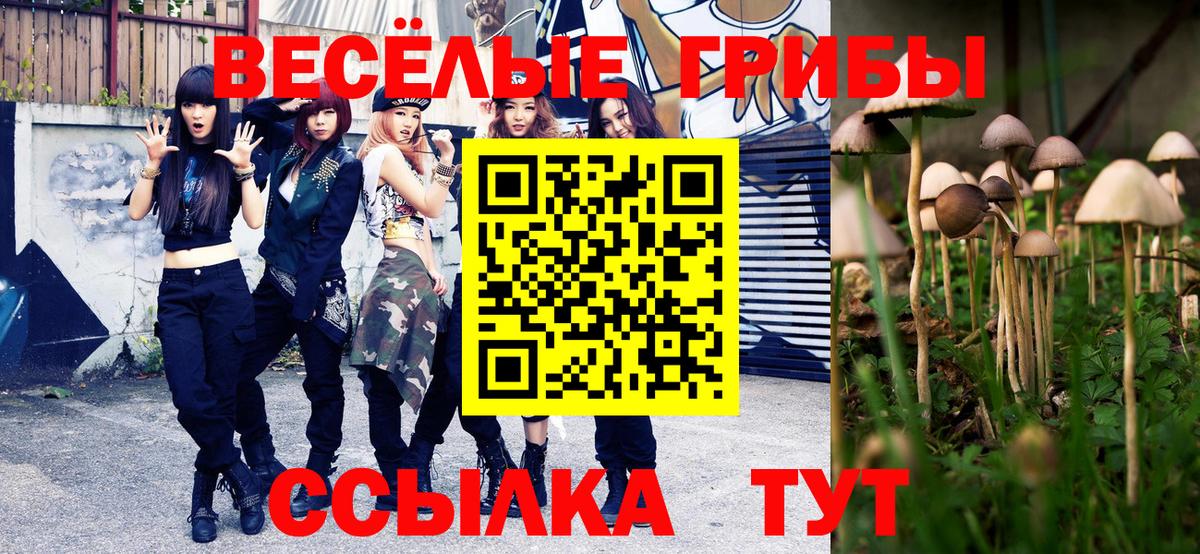 Галлюциногенные грибы MAGIC MUSHROOMS Ногинск