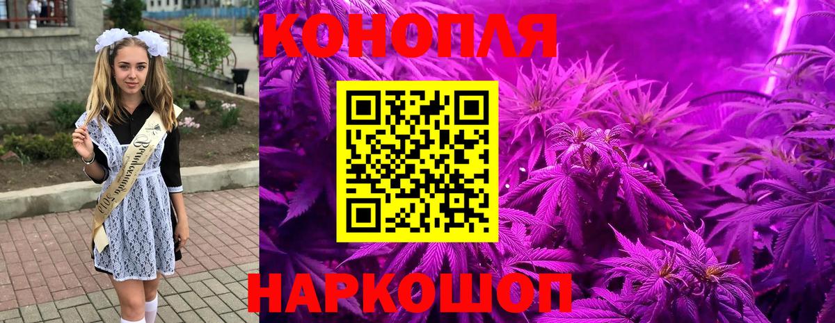 Бошки Шишки VHQ Ногинск